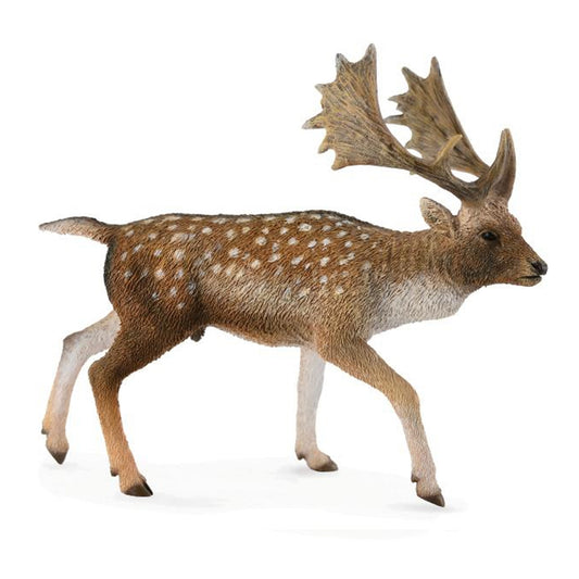 CollectA Fallow Deer Male