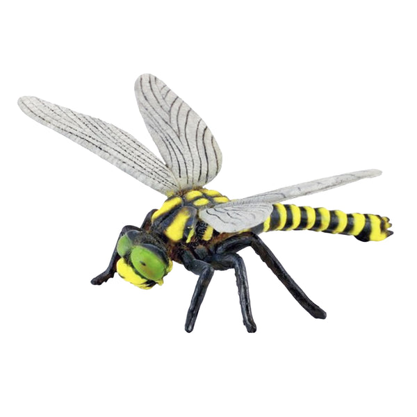 CollectA Golden Ringed Dragonfly