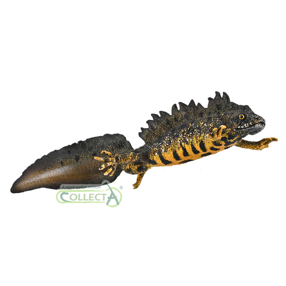 CollectA Great Crested Newt