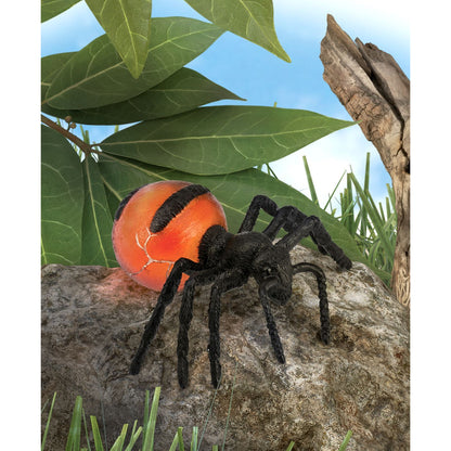 CollectA Honeypot Ant