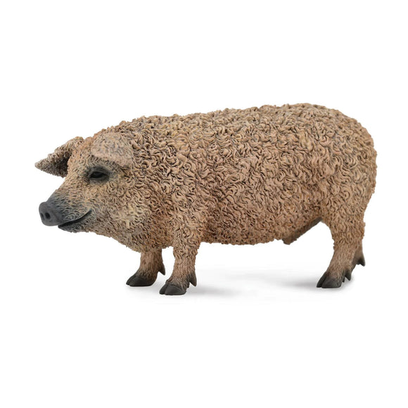 CollectA Hungarian Pig