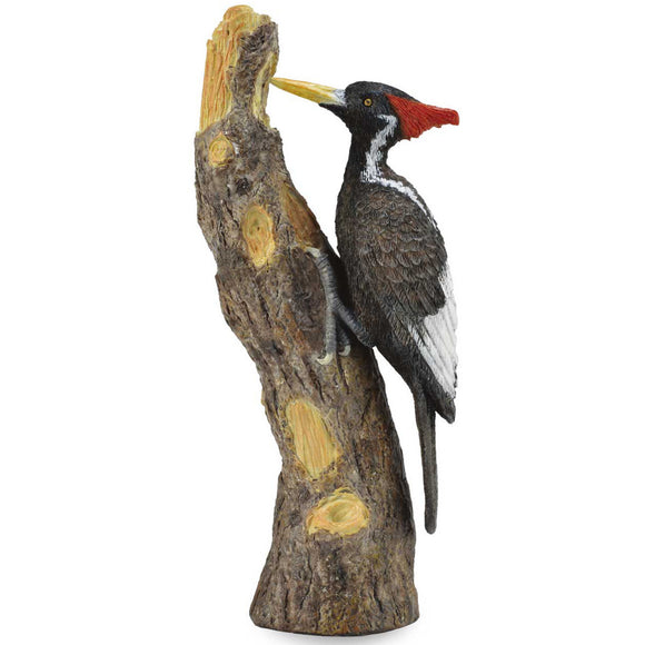 CollectA Ivory Billed Woodpecker
