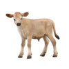 CollectA Jersey Calf