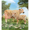 CollectA Jersey Calf