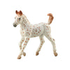 CollectA Knabstrupper Foal Leopard