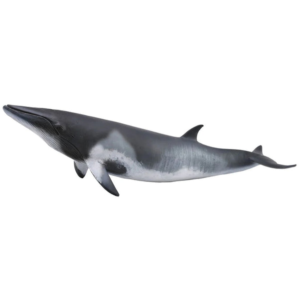 CollectA Minke Whale