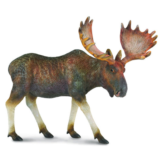 CollectA Moose
