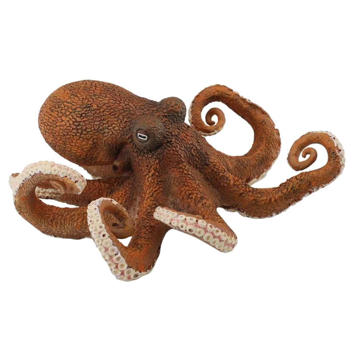 CollectA Octopus – Animal Kingdoms Toy Store
