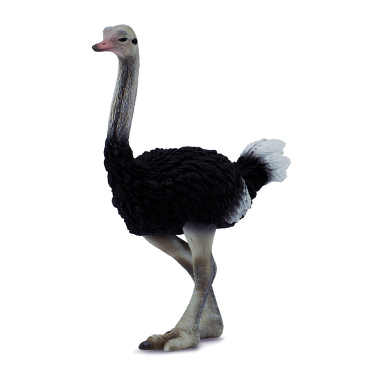 CollectA Ostrich