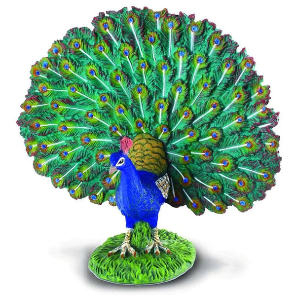 CollectA Peacock