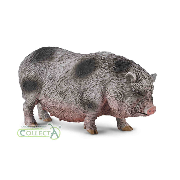 CollectA Pot-bellied Pig