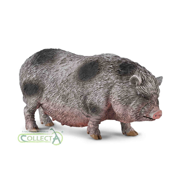 CollectA Pot-bellied Pig