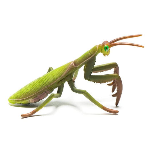 CollectA Praying Mantis