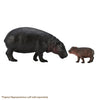 CollectA Pygmy Hippopotamus