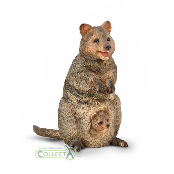 CollectA Quokka