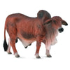 CollectA Red Brahman Bull