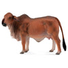 CollectA Red Brahman Cow