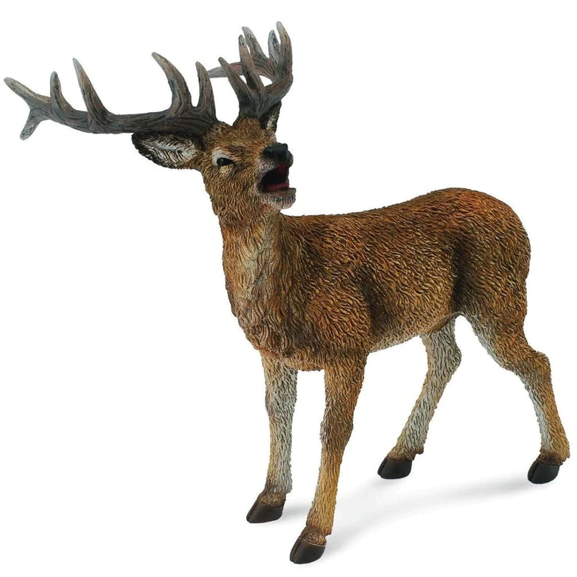 Animal Kingdoms – Animal Kingdoms Toy Store