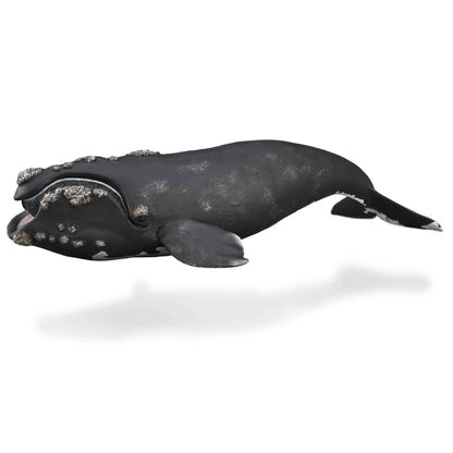 CollectA Right Whale
