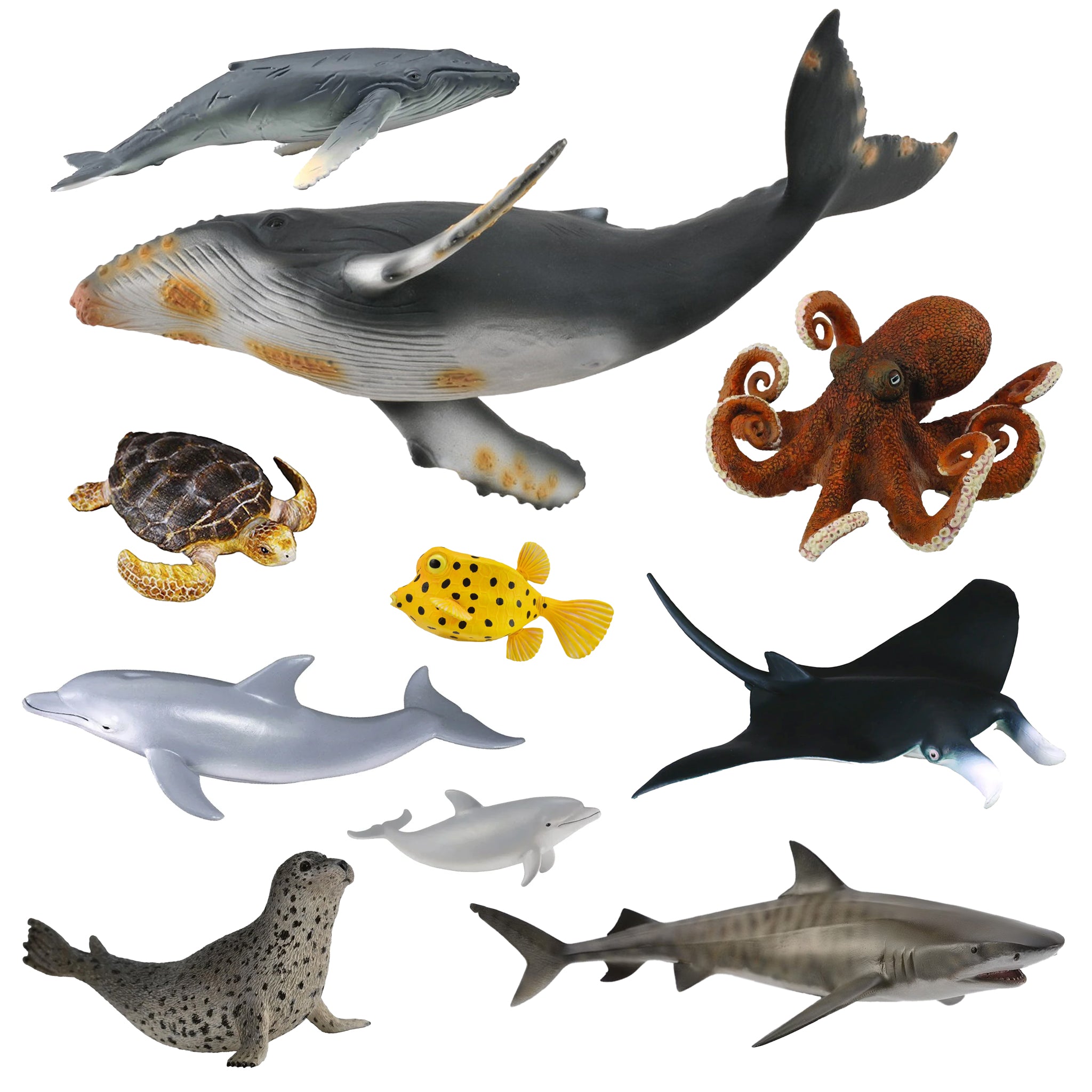 CollectA Sea Life - 10 piece set – Animal Kingdoms Toy Store