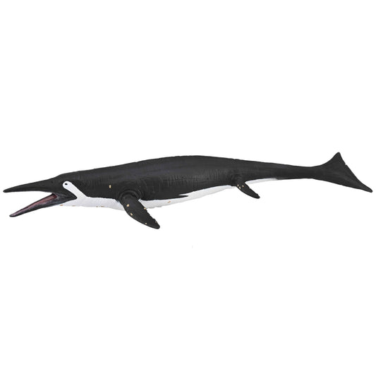 CollectA Shastasaurus