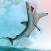 CollectA Shortfin Mako Shark