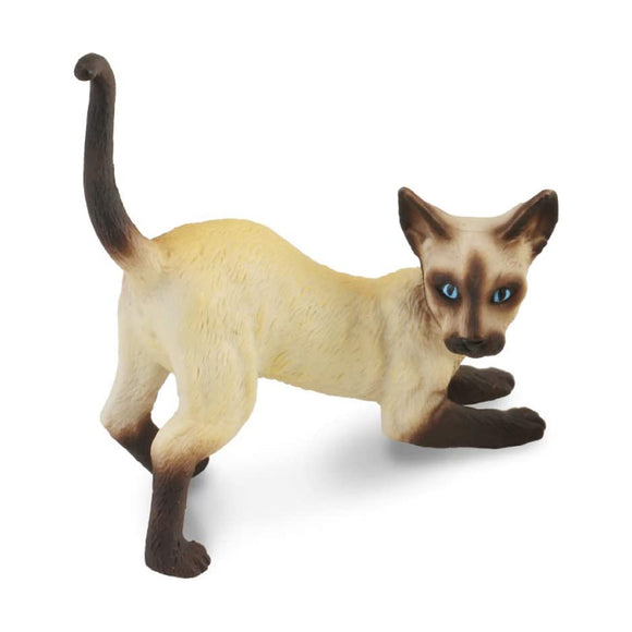 CollectA Siamese Cat Stretching