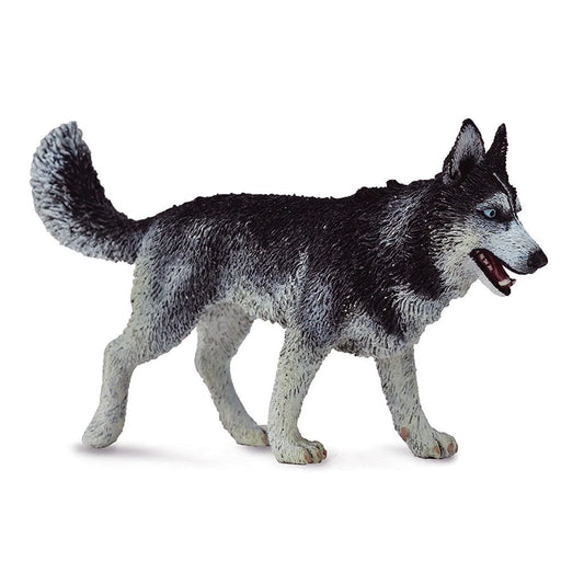 CollectA Siberian Husky