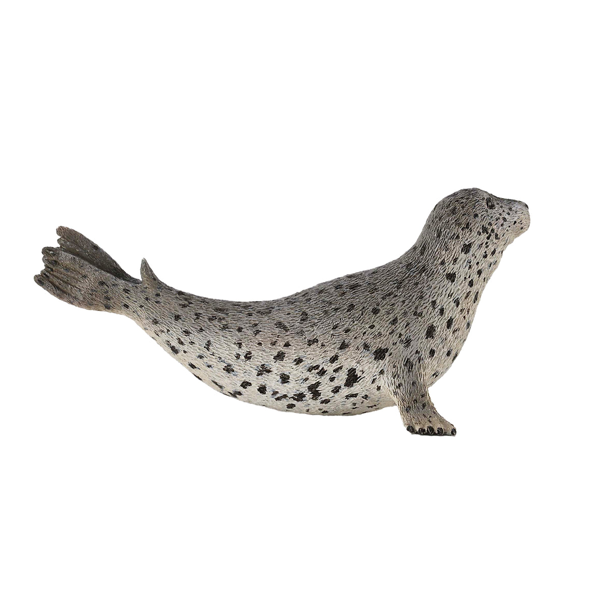 CollectA Spotted Seal