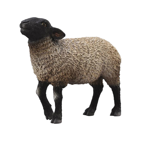 CollectA Suffolk Black faced Sheep