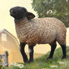 CollectA Suffolk Black faced Sheep