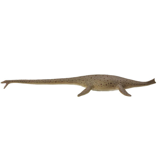 CollectA Thalassomedon Deluxe