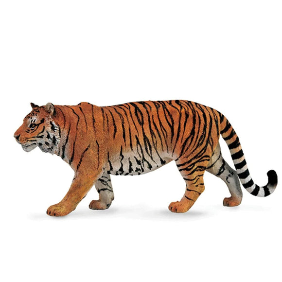 CollectA Tiger Siberian