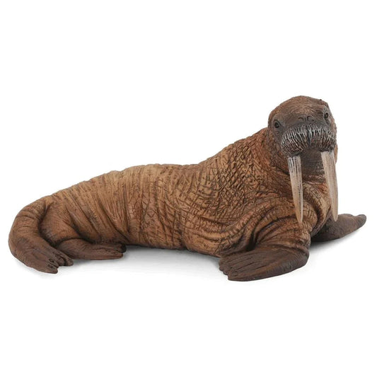 CollectA Walrus