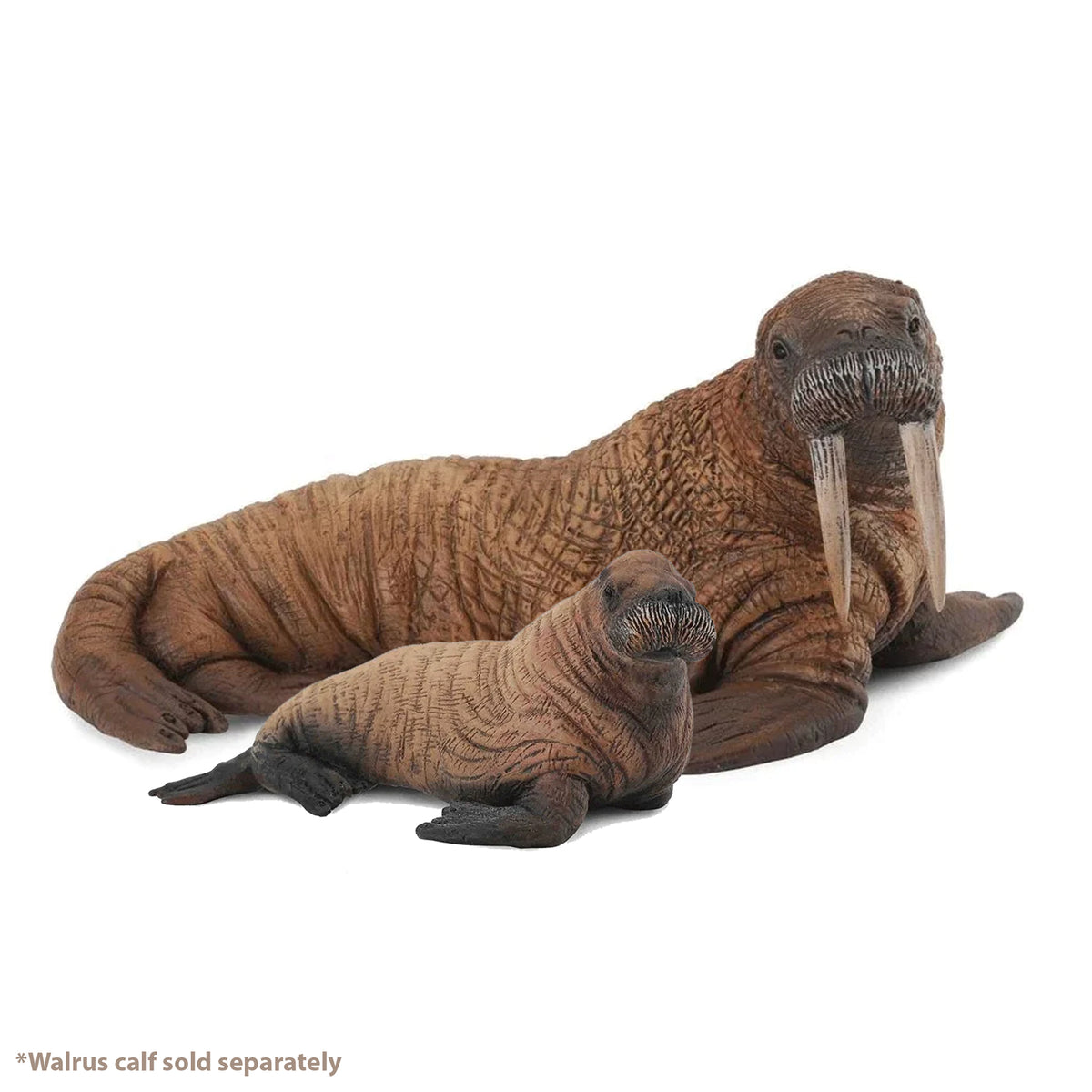 CollectA Walrus