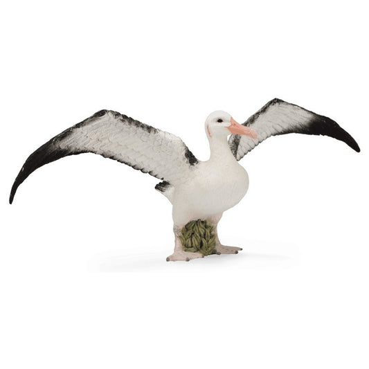CollectA Wandering Albatross