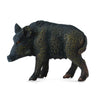 CollectA Wild Sow