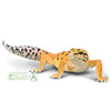 CollectA Leopard Gecko