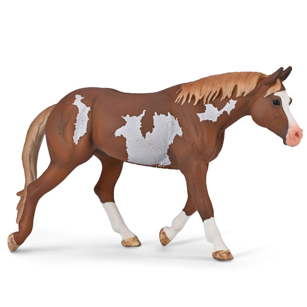 CollectA American Paint Horse Stallion
