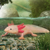 CollectA Axolotl