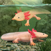 CollectA Axolotl