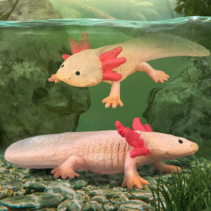 CollectA Axolotl
