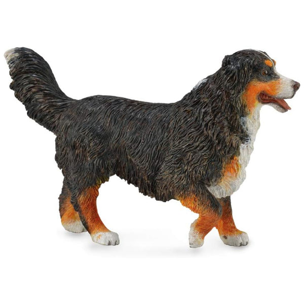 CollectA Bernese Mountain Dog