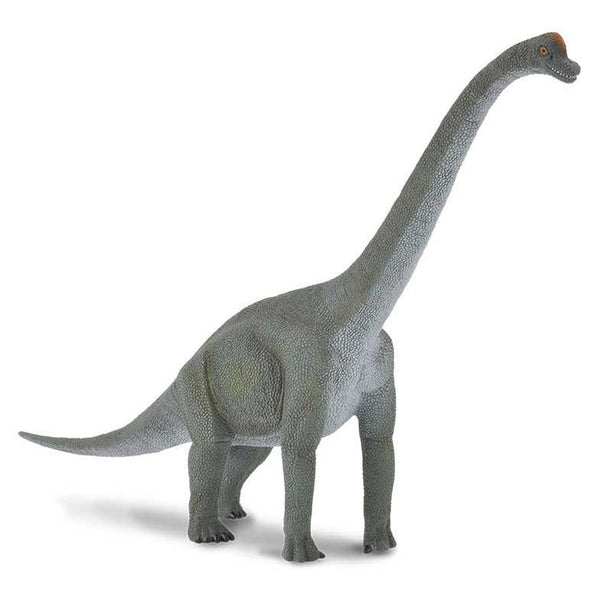 CollectA Brachiosaurus