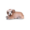 CollectA Bulldog Puppy