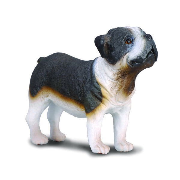 CollectA Bulldog