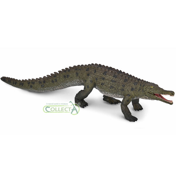 CollectA Colossosuchus