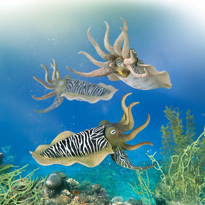 CollectA Common Cuttlefish