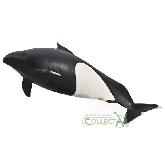CollectA Dall's Porpoise