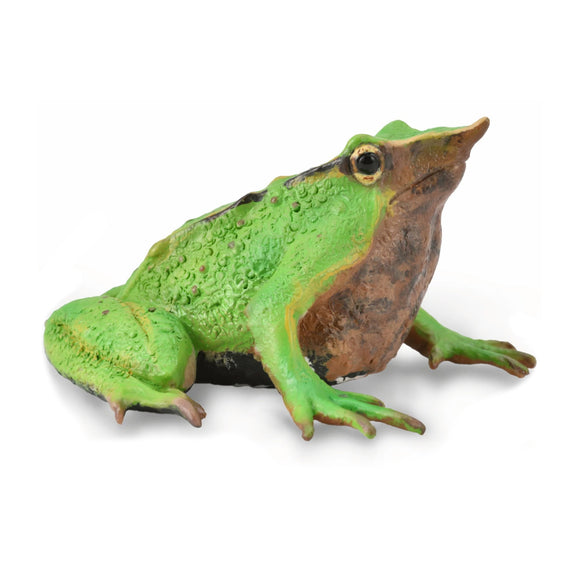 CollectA Darwin's Frog